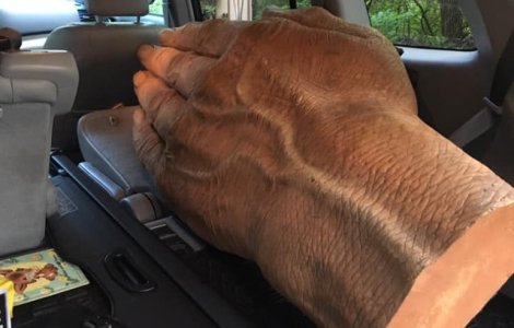  Top  15 cele mai ciudate lucruri second hand care "si-au gasit" in cele din urma un proprietar