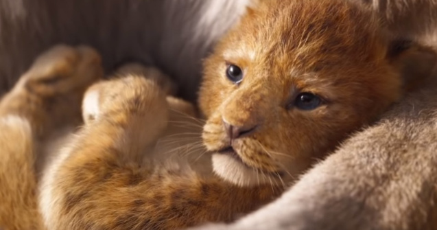 Simba din The Lion King, inspirat de un pui de leu de la o gradina zoologica din Dallas