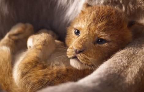 Simba din The Lion King, inspirat de un pui de leu de la o gradina zoo