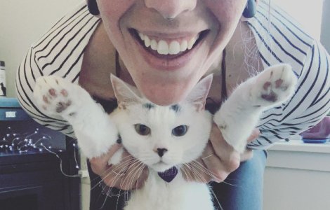  Top  10+ obiceiuri ale stapanilor, pe care pisicile le urasc