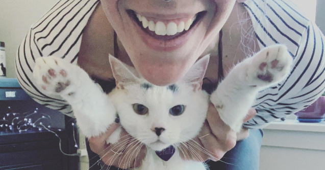  Top  10+ obiceiuri ale stapanilor, pe care pisicile le urasc