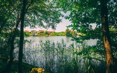 Marele Picnic Cinematografic...