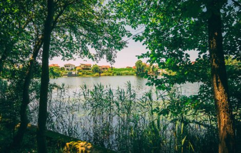 Marele Picnic Cinematografic de la Domeniul Mogosoaia: Program, regulament si acces