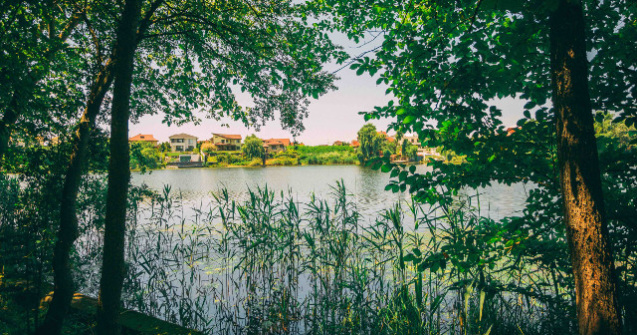 Marele Picnic Cinematografic de la Domeniul Mogosoaia: Program, regulament si acces