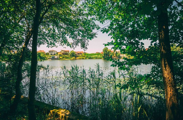 Marele Picnic Cinematografic de la Domeniul Mogosoaia: Program, regulament si acces