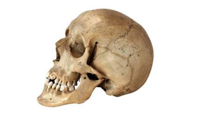 Ucraina: Osemintele eroilor romani, scoase la licitatie sau ingropate alaturi de cele ale sovieticilor din Armata Rosie