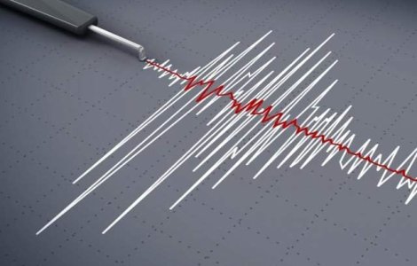 Opt morti si 60 de raniti in urma a doua cutremure, in Filipine
