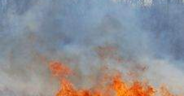 Peste 115 hectare de vegetatie uscata si fond forestier distruse de incendii