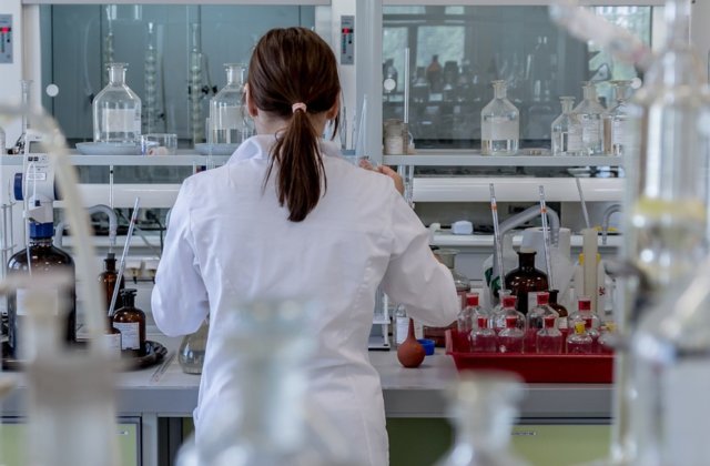 Japonia a primit aprobare pentru experimente cu embrioni umani crescuti in animale