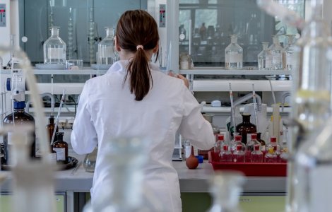 Japonia a primit aprobare pentru experimente cu embrioni umani crescuti in animale