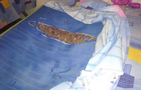 Elevii care au participat la Sesiunea Nationala de Comunicari Stiintifice, cazati in camere cu gandaci si mucegai: "Puscariasii au conditii mai bune"