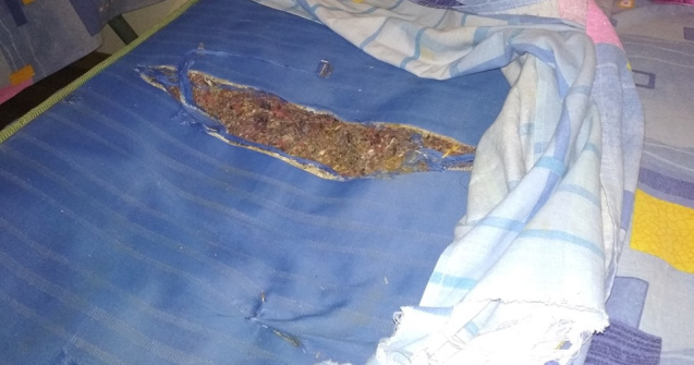 Elevii care au participat la Sesiunea Nationala de Comunicari Stiintifice, cazati in camere cu gandaci si mucegai: "Puscariasii au conditii mai bune"