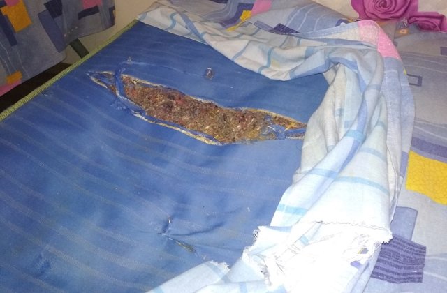 Elevii care au participat la Sesiunea Nationala de Comunicari Stiintifice, cazati in camere cu gandaci si mucegai: "Puscariasii au conditii mai bune"