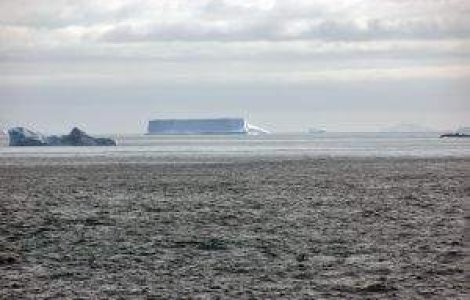 Descoperire neasteptata sub gheata din Antarctica