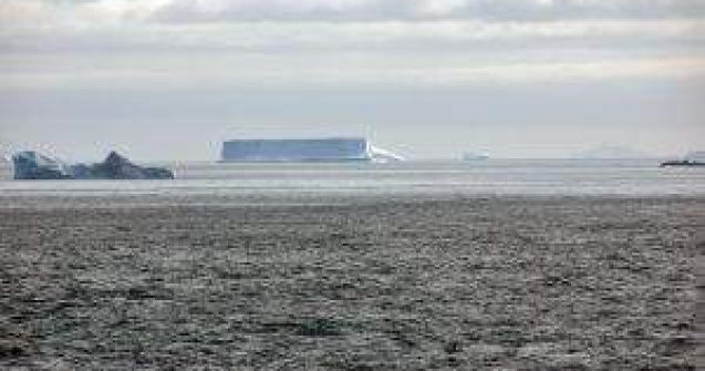 Descoperire neasteptata sub gheata din Antarctica