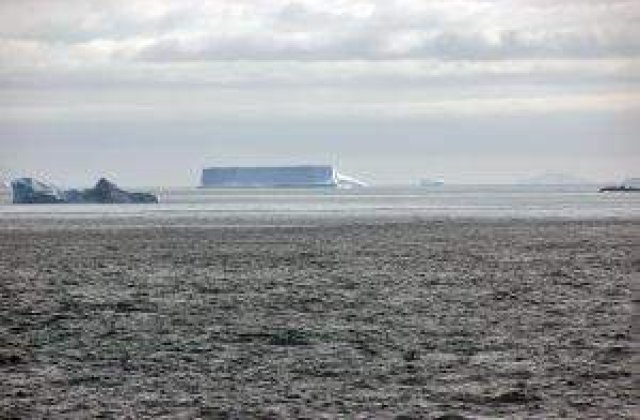 Descoperire neasteptata sub gheata din Antarctica