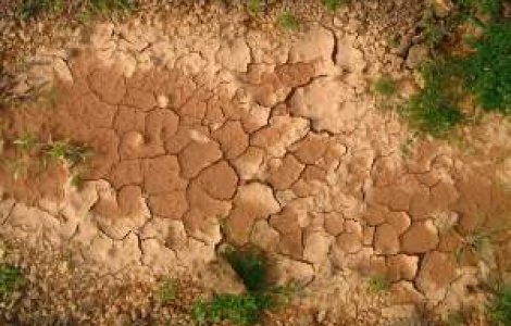 Agricultorii cer instituirea starii de urgenta din cauza secetei