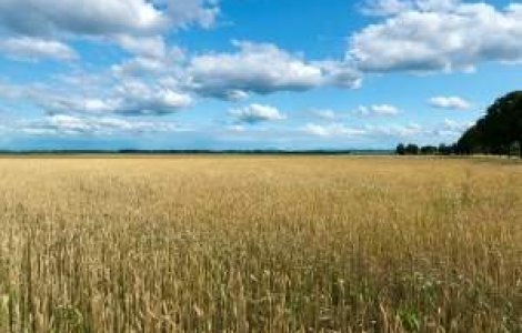 Agentia Domeniilor Statului a "pierdut" 120 mil. euro