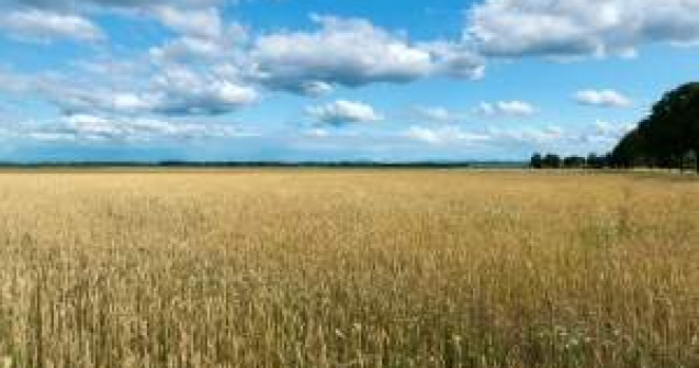 Agentia Domeniilor Statului a "pierdut" 120 mil. euro