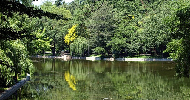 PMB: Proiectul de reabilitare a Parcului Cismigiu nu propune defrisari de arbori