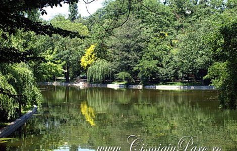 PMB: Proiectul de reabilitare a Parcului Cismigiu nu propune defrisari de arbori