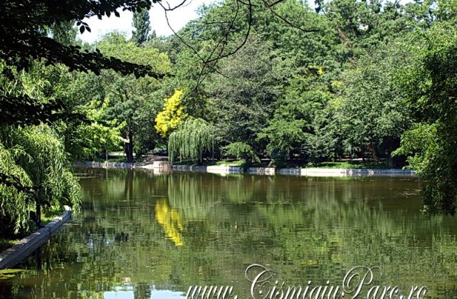 PMB: Proiectul de reabilitare a Parcului Cismigiu nu propune defrisari de arbori