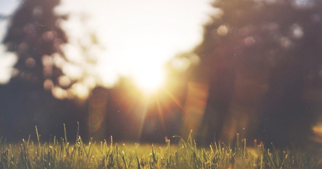 Luna august vine cu temperaturi mai mici decat in iulie. Recordul de temperatura al lunii: 44,5 grade Celsius