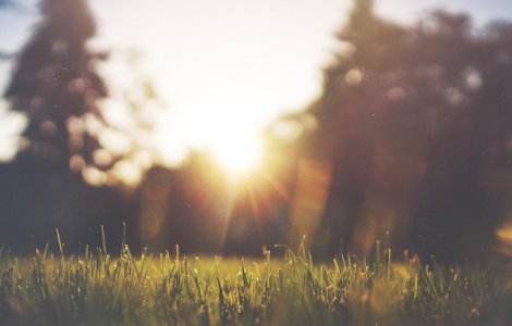 Luna august vine cu temperaturi mai mici decat in iulie. Recordul de temperatura al lunii: 44,5 grade Celsius