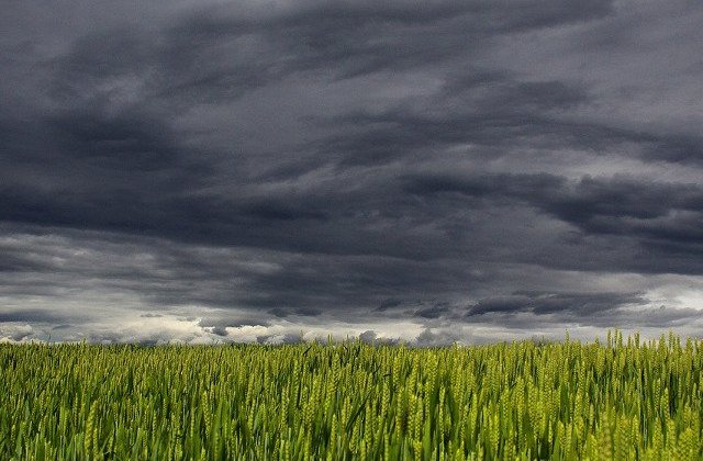 Cod rosu in judetele Tulcea si Constanta: intensificari puternice ale vantului cu aspect de tornada