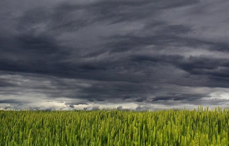 Cod rosu in judetele Tulcea si Constanta: intensificari puternice ale vantului cu aspect de tornada