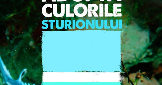 Sturionul, aurul si caviarul: Pretul unui sturion ajunge la 40.000 Euro. Cat un kilogram de aur!