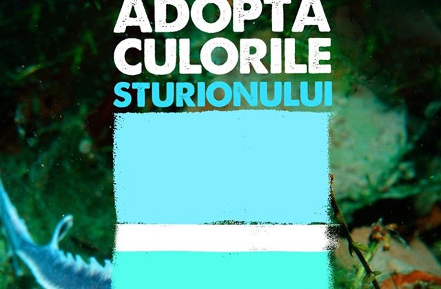 Sturionul, aurul si caviarul: Pretul unui sturion ajunge la 40.000 Euro. Cat un kilogram de aur!