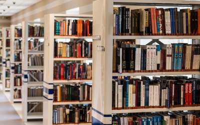 Senator USR: 4.000 de...