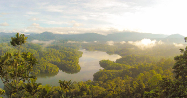 Vocea mamei adolescentei disparuta in Malaezia, difuzata la megafon in jungla