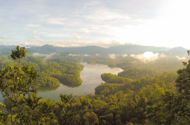 Vocea mamei adolescentei disparuta in Malaezia, difuzata la megafon in jungla