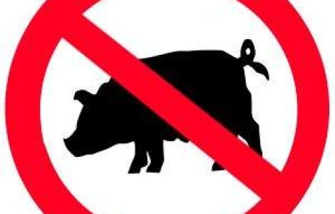 SUA, statul Colorado: Gripa porcina revine