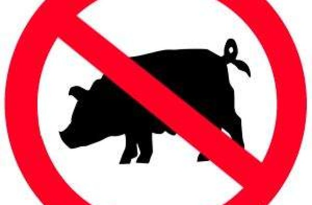 SUA, statul Colorado: Gripa porcina revine