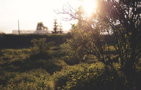 Cod GALBEN de canicula si disconfort termic in aproape toata tara, in urmatoarele trei zile
