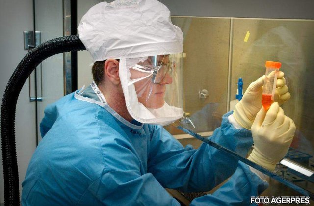 Crestere spectaculoasa a numarului de cazuri de gripa porcina in Japonia intr-o singura zi