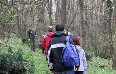 Realitatile din turismul romanesc