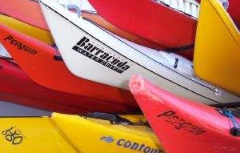 JO 2012: Echipajul masculin K4 al Romaniei s-a calificat in finala