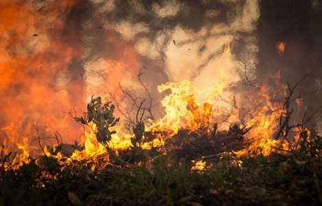 Incendii de vegetatie in Insula spaniola Gran Canaria