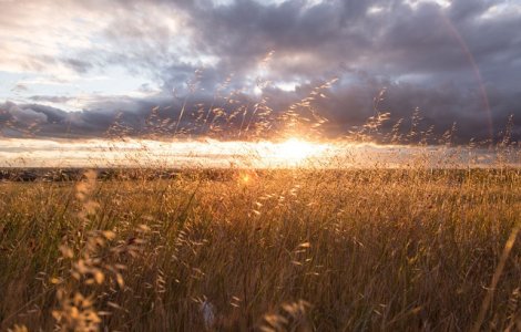 Cod GALBEN de canicula, marti, in majoritatea regiunilor. Informare meteo de ploi, in vigoare de miercuri