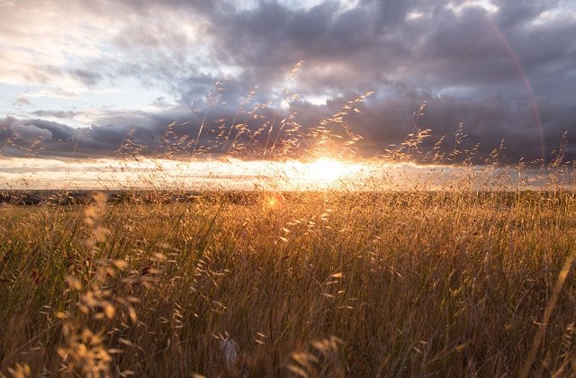 Cod GALBEN de canicula, marti, in majoritatea regiunilor. Informare meteo de ploi, in vigoare de miercuri