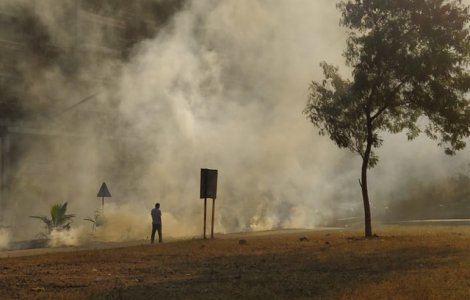 Studiu: Poluarea atmosferica - la fel de daunatoare ca fumatul unui pachet de tigari pe zi
