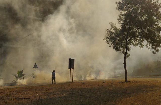 Studiu: Poluarea atmosferica - la fel de daunatoare ca fumatul unui pachet de tigari pe zi