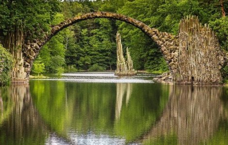  Top  Ziua Mondiala a Fotografiei: 20+ imagini care surprind frumusetea in detaliu