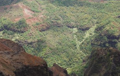 VIDEO: A cazut de la aproape 1.900 de metri si a supravietuit