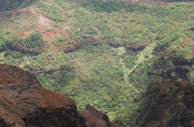 VIDEO: A cazut de la aproape 1.900 de metri si a supravietuit