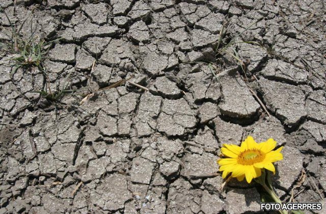 In plina criza, ne loveste seceta!